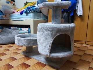 (Category: ) located in . Submitted by mochi_95 (Listing ID 1086879693, Image 1). Description: .