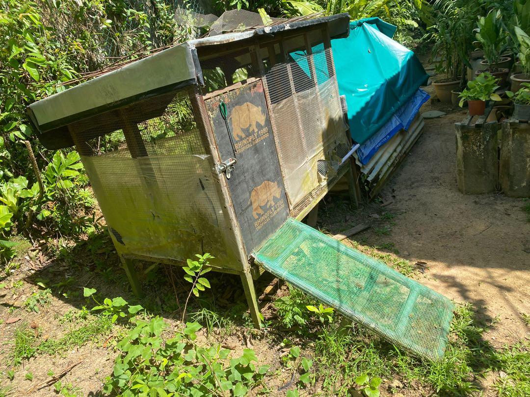 Chicken Coop, Pet Supplies, Pet Food on Carousell