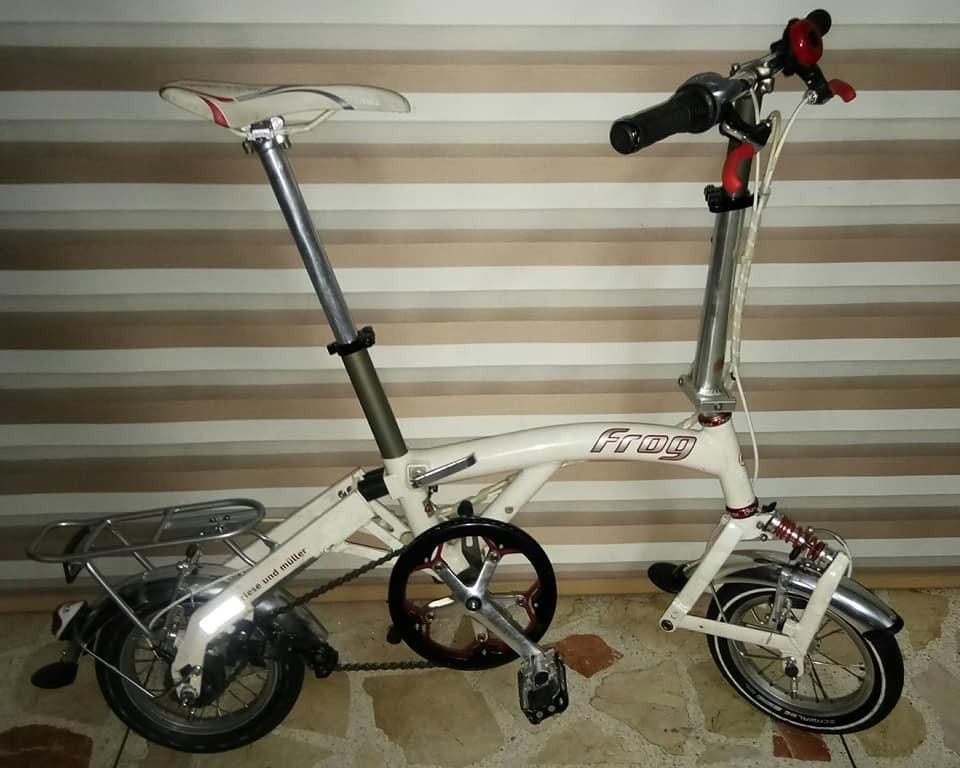 Birdy frog folding bike best sale