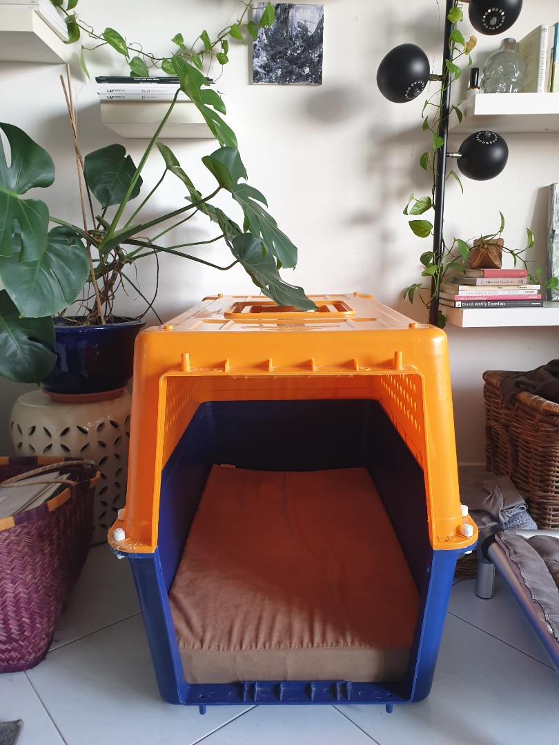 IATA approved dog crate, Pet Supplies, Homes & Other Pet Accessories on