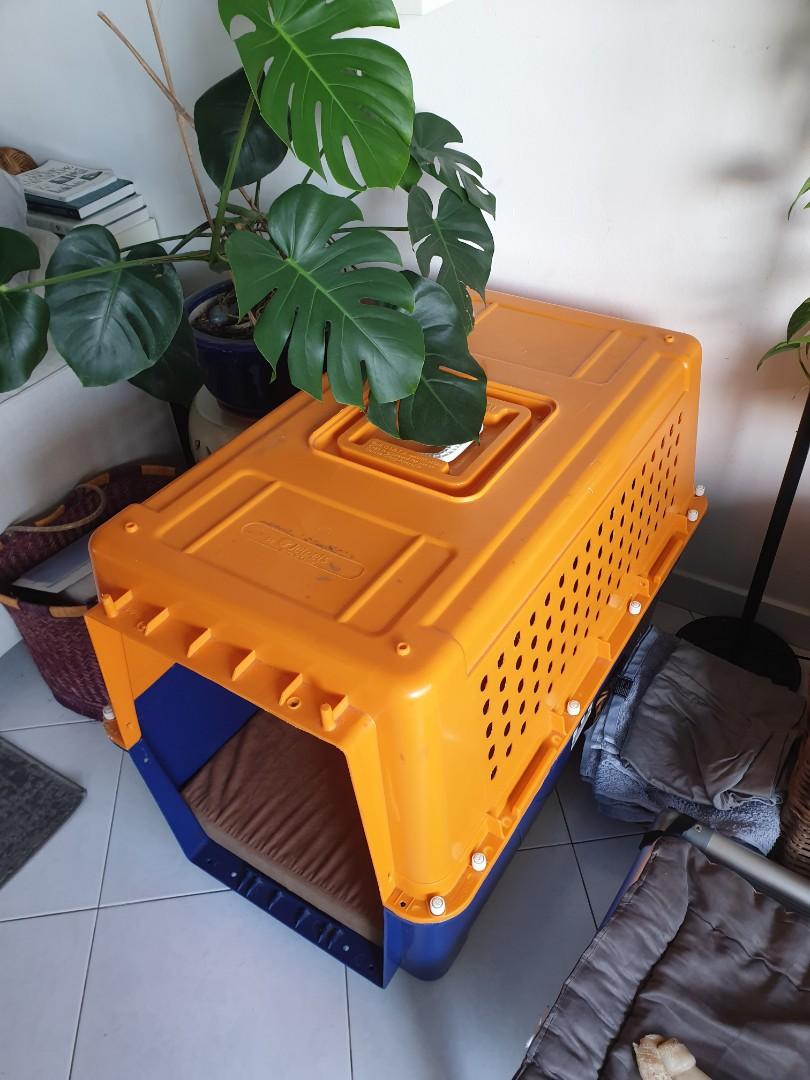 IATA approved dog crate, Pet Supplies, Homes & Other Pet Accessories on