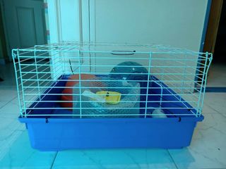 (Category: ) located in . Submitted by arabellarose88 (Listing ID 1086717242, Image 1). Description: .
