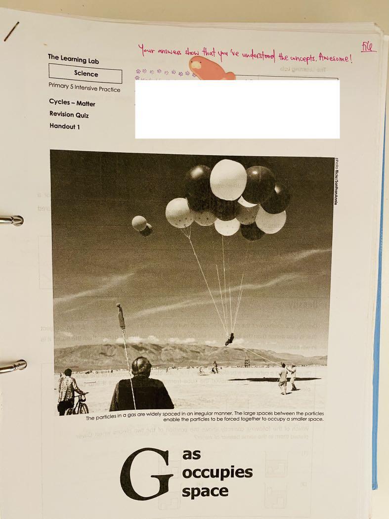 The Learning Lab P5 Science Notes, Hobbies & Toys, Books & Magazines, Assessment Books on Carousell