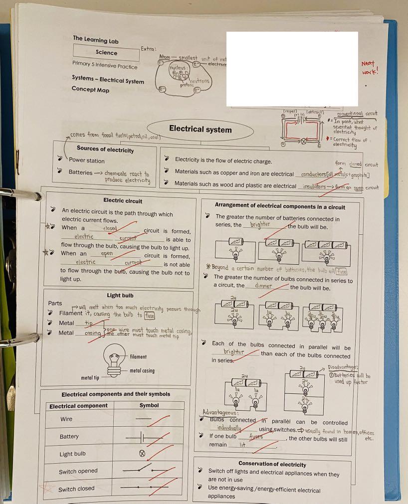 The Learning Lab P5 Science Notes, Hobbies & Toys, Books & Magazines, Assessment Books on Carousell