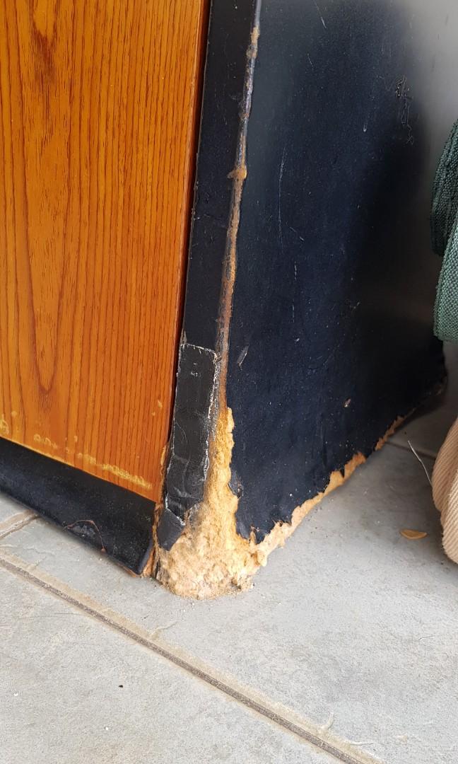 Compressed Wood Furniture & Home Living, Furniture, Shelves