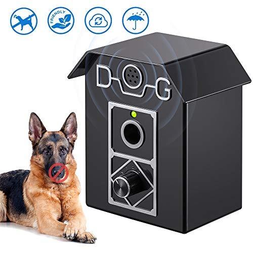 No bark barkbox Clearance