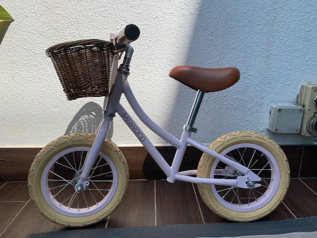 Used outlet banwood bike