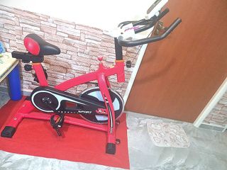 (Category: ) located in . Submitted by masnah55 (Listing ID 1087027346, Image 1). Description: .