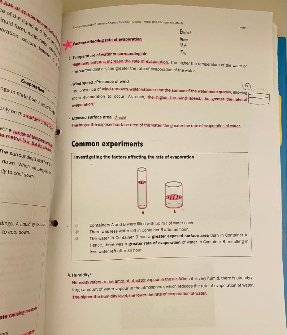 The Learning Lab P5 Science Notes, Hobbies & Toys, Books & Magazines