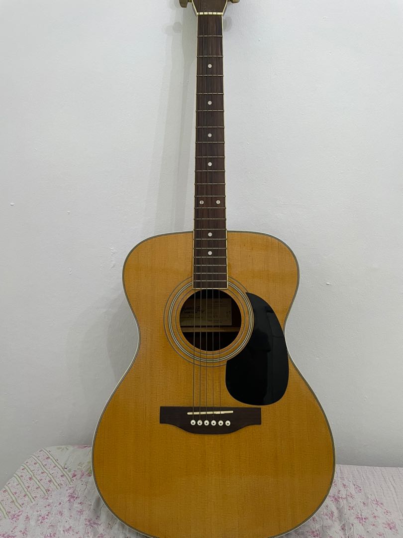 Tokai gakki new arrivals acoustic guitar