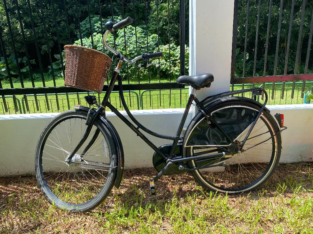 Dutchie bike online for sale