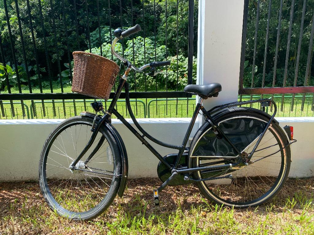 Womens on sale dutch bike