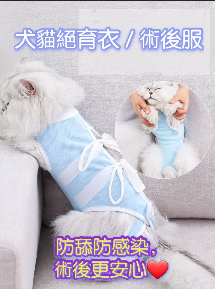 貓咪狗狗寵物母貓絕育衣絕育服手術服術後衣手術衣絕育防舔s碼m碼l碼xl 貓女貓仔防爪傷透氣度高包平郵 寵物用品 寵物衣服 貓咪狗狗寵物母貓絕育衣絕育服手術服術後衣手術衣絕育防舔s碼m碼l碼xl 貓女貓仔防爪傷透氣度高包平郵 寵物用品 寵物衣服