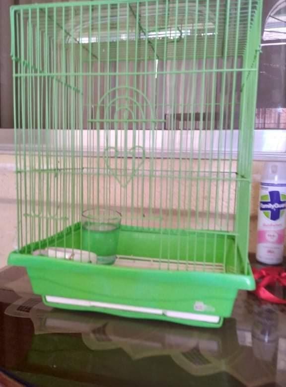 Bird cage pick up is in imus cavite, Pet Supplies, Homes & Other Pet