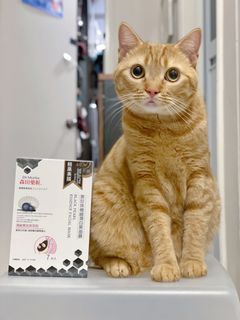 （分類：）位於 。 由 mochito 提交（商品編號 1087233302，圖片 1）。簡介： 。
