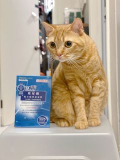 （分類：）位於 。 由 mochito 提交（商品編號 1087233553，圖片 1）。簡介： 。