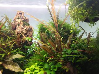 (Category: ) located in . Submitted by ahwin89 (Listing ID 1087180491, Image 1). Description: .