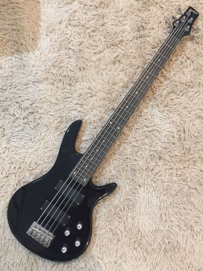 Gio ibanez bass guitar 5 strings store