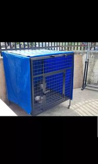 (Category: ) located in . Submitted by airaonlineshops (Listing ID 1087155563, Image 1). Description: .