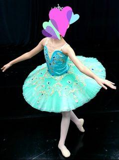 Professional Ballet Tutu for Girls