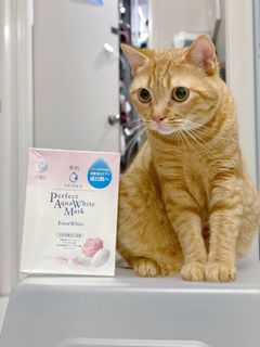 （分類：）位於 。 由 mochito 提交（商品編號 1087234024，圖片 1）。簡介： 。