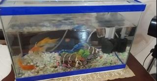 (Category: ) located in . Submitted by _rinyang (Listing ID 1087350041, Image 1). Description: .
