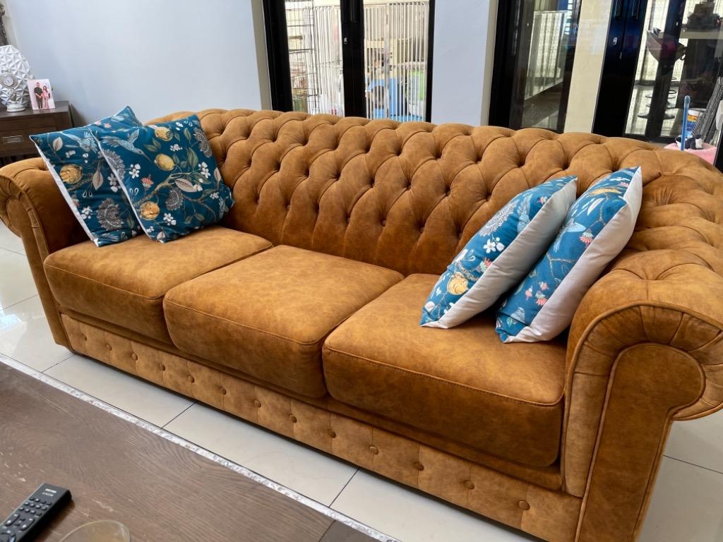 Harvey norman shop chesterfield sofa