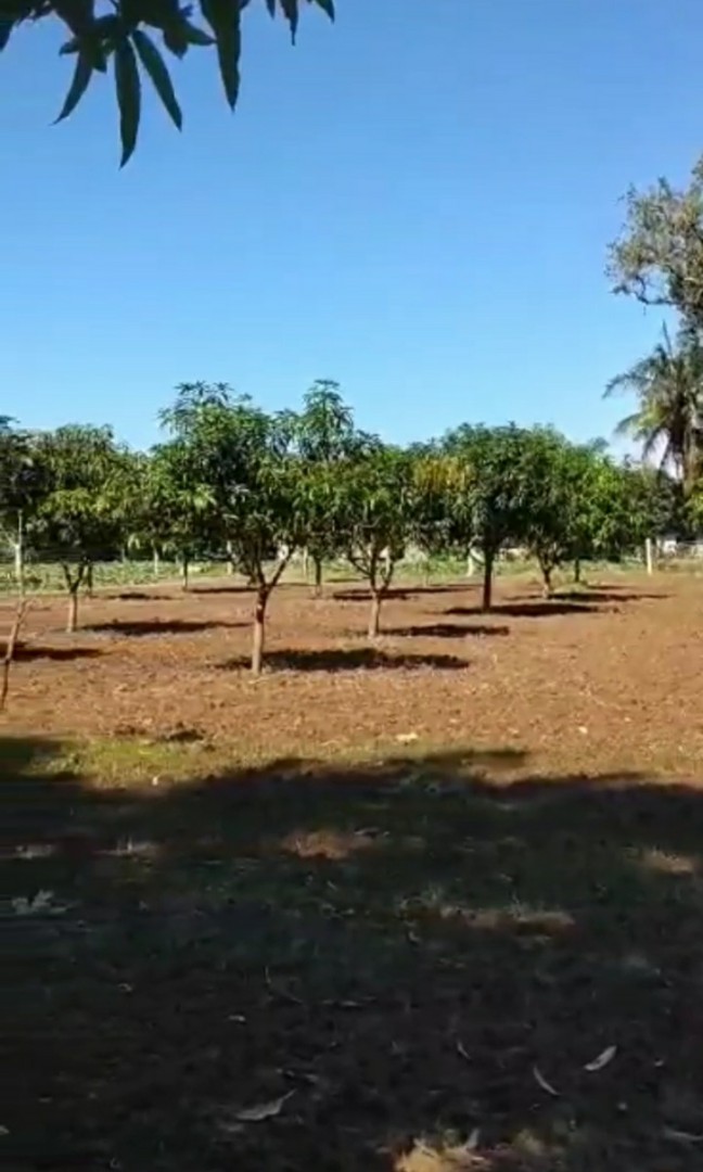 Farm Lot For Sale! Bauang La Union, Property, For Sale, Lot on Carousell
