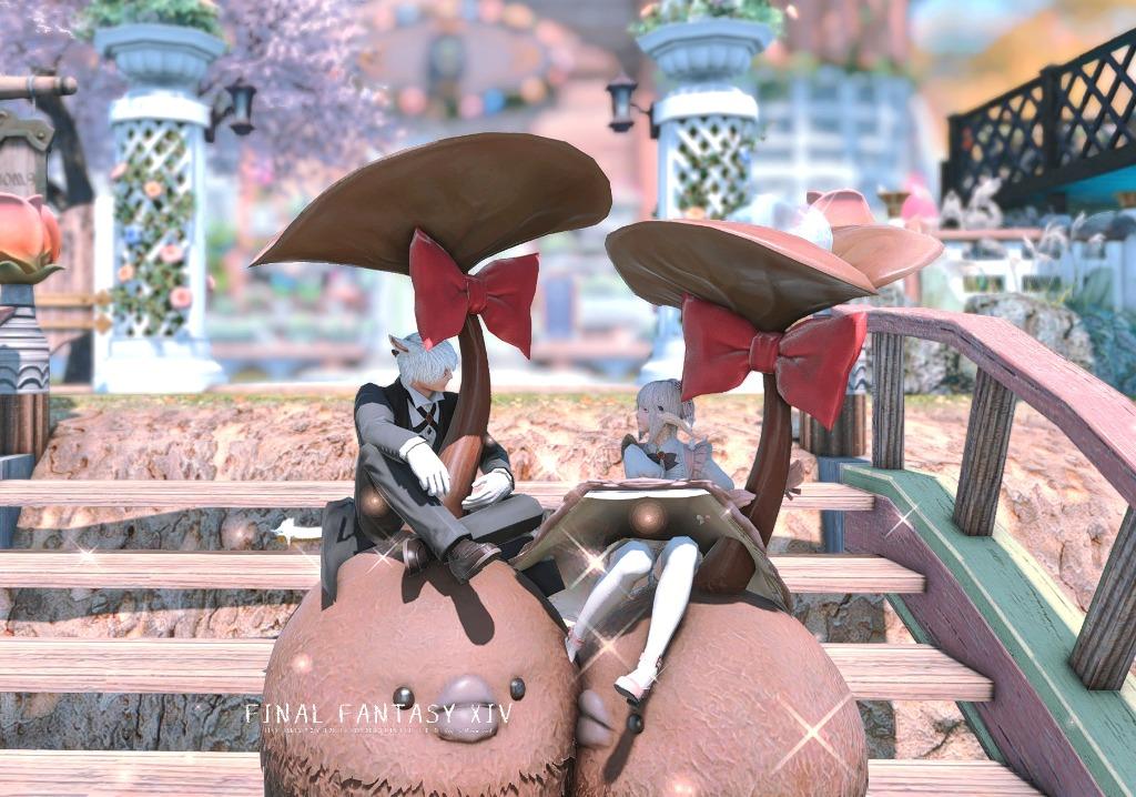 FFXIV CHOCOPOKKUR MOUNT CODES ALL REGION LIMITED, Video Gaming, Gaming Accessories, Game Gift