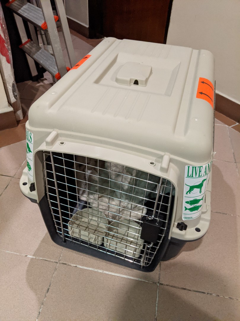 IATA Approved Travel Crate, Pet Supplies, Homes & Other Pet Accessories
