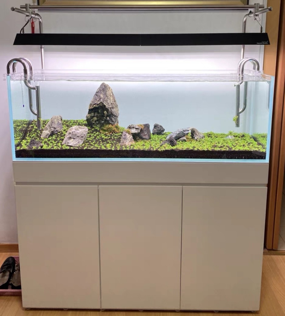 Ada aquarium supplies clearance