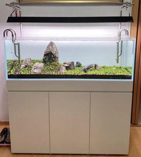 ec aquatic s items for sale on carousell