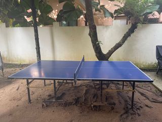 (Category: ) located in . Submitted by diane35 (Listing ID 1087318128, Image 1). Description: .