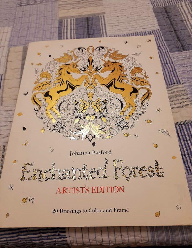 Download Adults Coloring Book Enchanted Forest Books Stationery Books On Carousell