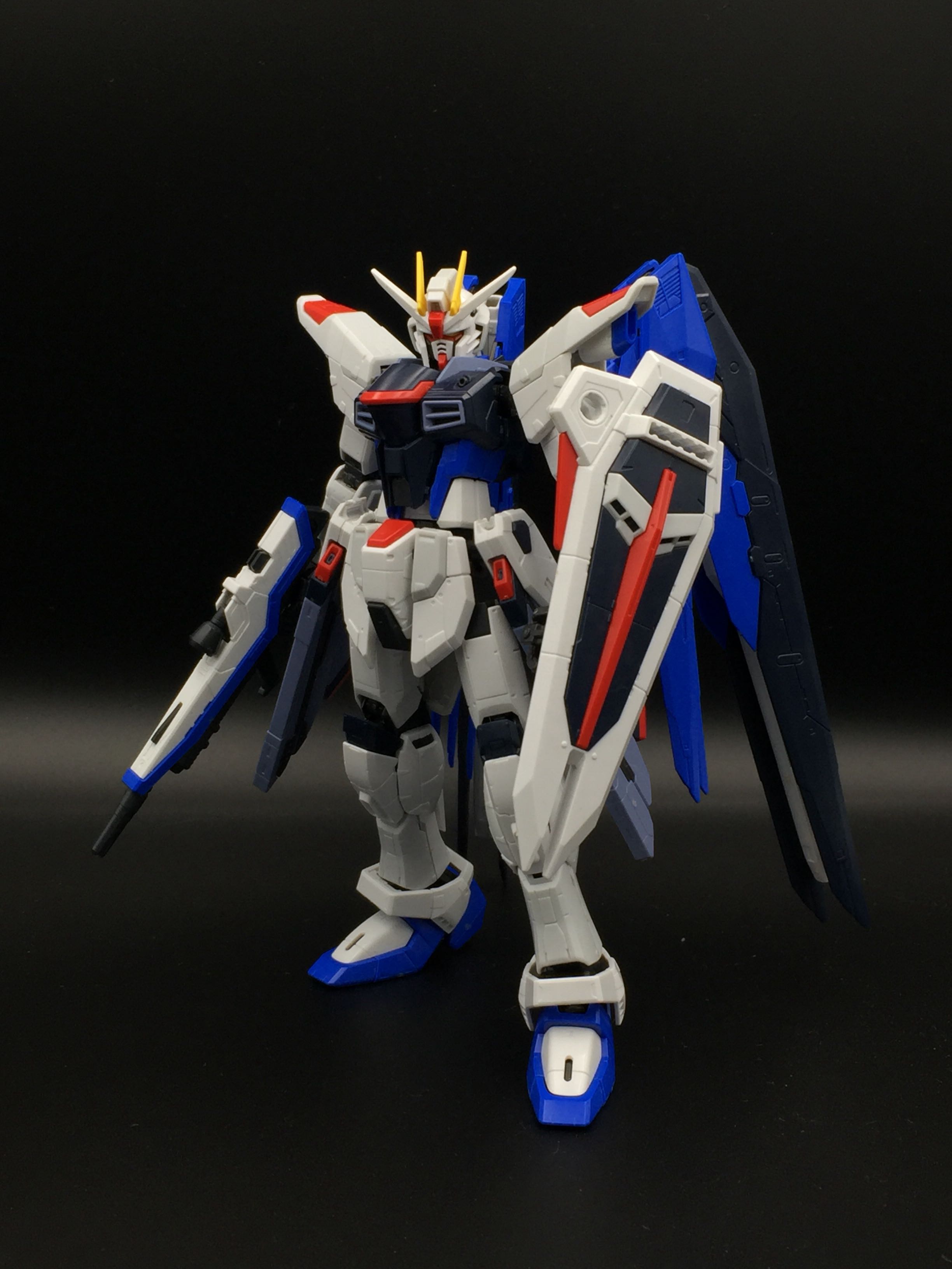 Built RG Freedom Gundam, Hobbies & Toys, Toys & Games on Carousell