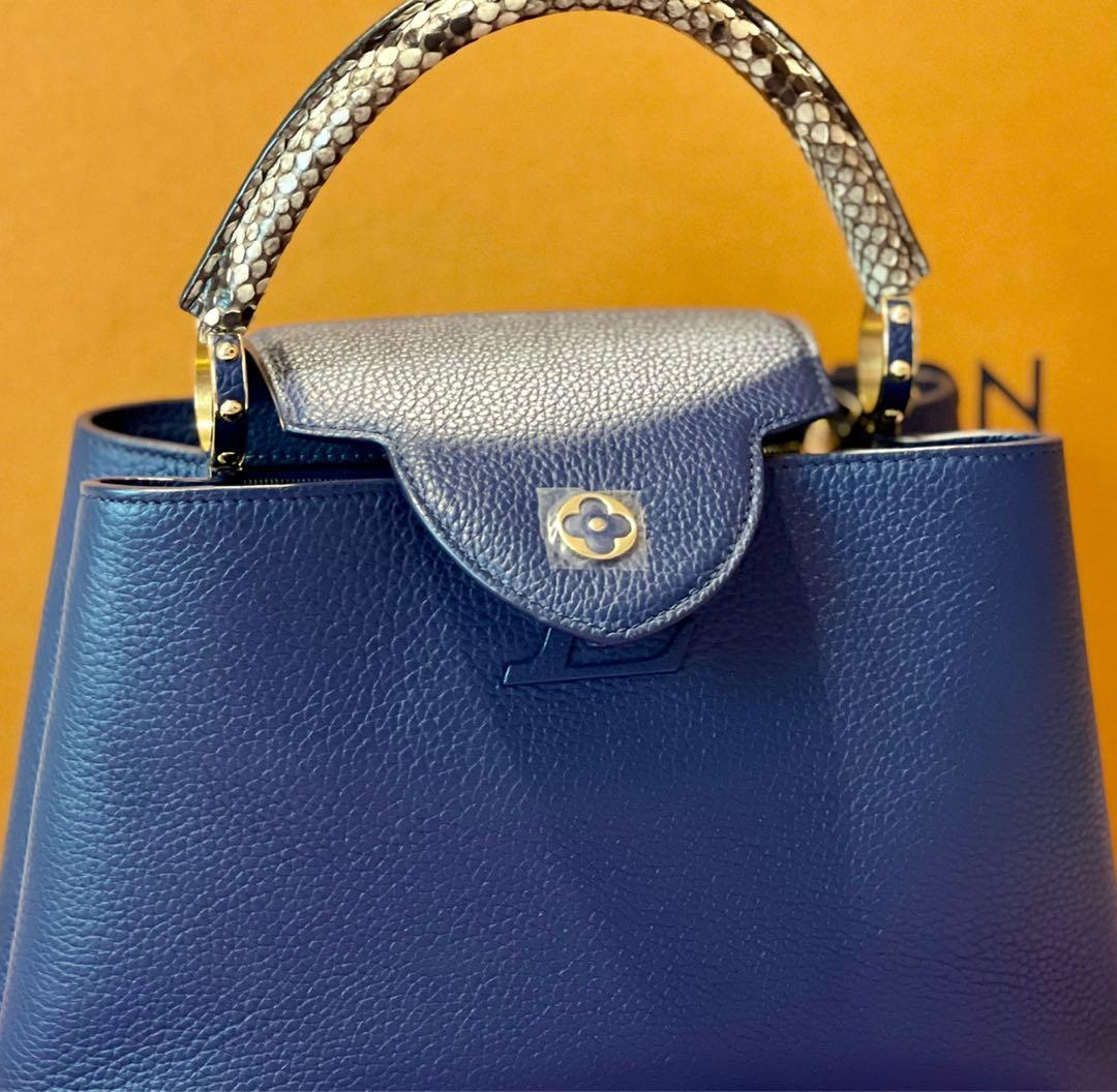 LOUIS VUITTON PYTHON MINI CAPUCINES BAG – Caroline's Fashion Luxuries