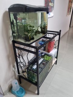 (Category: ) located in . Submitted by raelity (Listing ID 1087806158, Image 1). Description: .