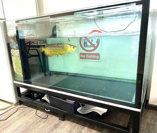 5x2.5 x2.5ft IOS GLASS FISHTANK w LOW STAND