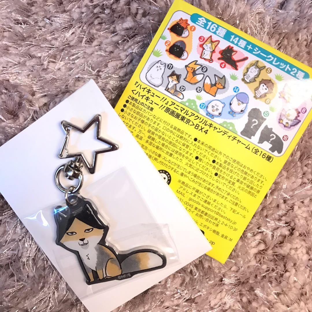 ハイキュー アニマルアクリルキャンディチャーム 角名倫太郎 on X: 