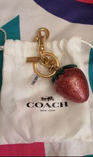 Authentic Coach Bag Charms