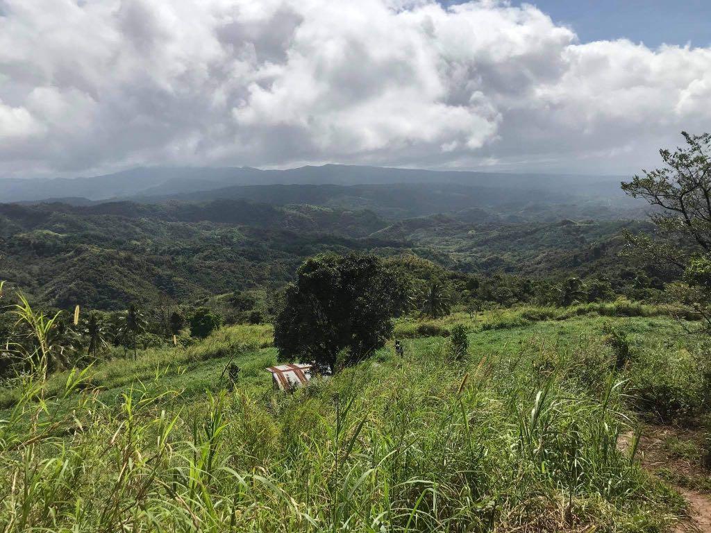 Farm lot with view (Category: Lot) located in Quezon City. Submitted by rebfaye (Listing ID 1087785918, Image 1). Description: Farm lot for sale located at Sitio Mayagay, Sampaloc, Tanay Rizal, almost at the back of Martessem Mountain resort (accross Tanay Highlands) Lot area 5 hectares, with amazing view, with access Road , Near Highway, Titled updated real Property Tax. Price : Php 1,500/sqm nego Call/text 09175073353 if interested Also availab