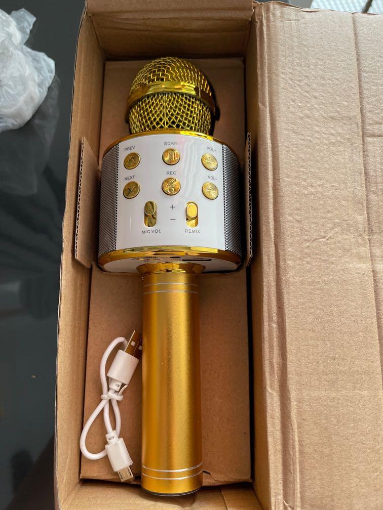 Handheld KTV wireless microphone and Bluetooth speaker, Audio