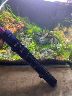 (Category: ) located in . Submitted by sammyloy (Listing ID 1087709540, Image 1). Description: .