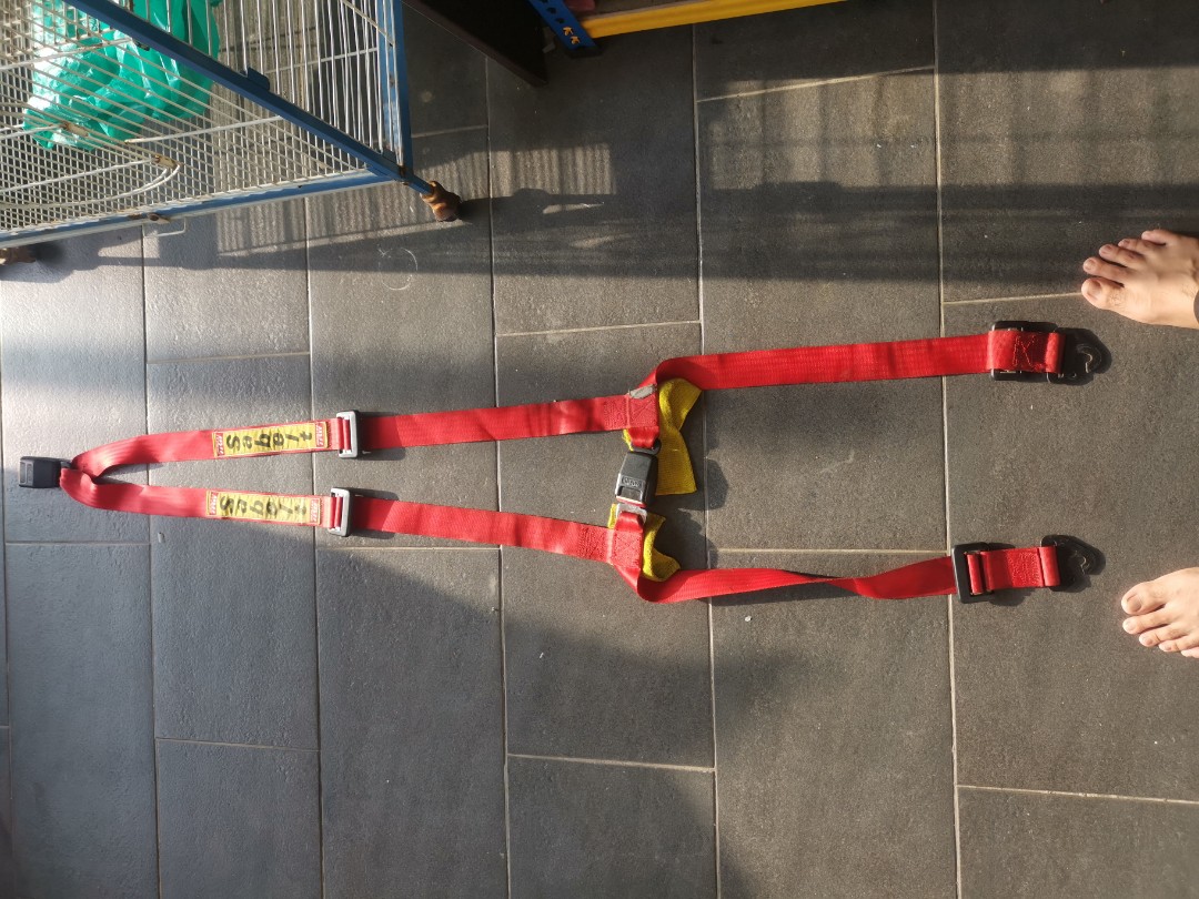 Sabelt 3 point harness 2025