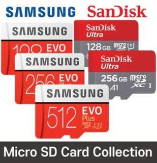 Samsung Evo / SanDisk micro SD 256GB with SD adapter