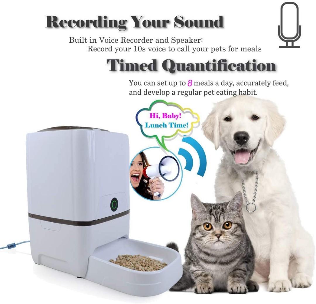 Westlink 6l automatic pet feeder food dispenser for cat dog with voice recorder and timer programmable cheap