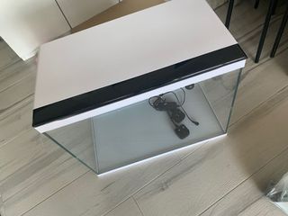 （分類：）位於 。 由 wales.c 提交（商品編號 1087973113，圖片 1）。簡介： 。