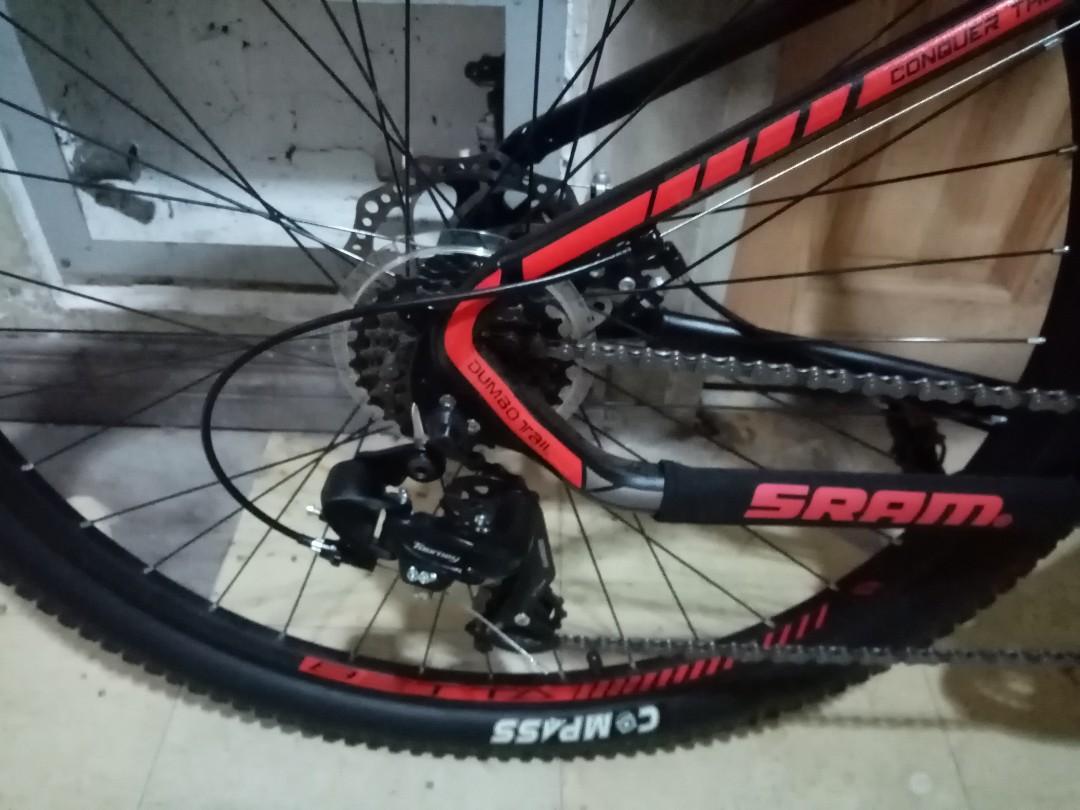 betta dumbo tail 29er