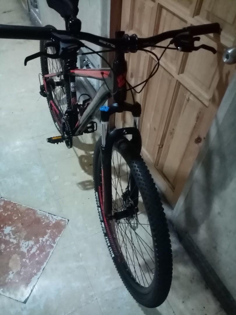 Betta dumbo on sale tail 29er