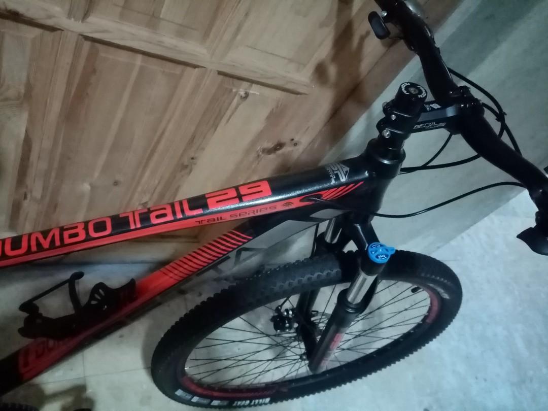 Betta Dumbo Tail 29er Mountain Bike 2021